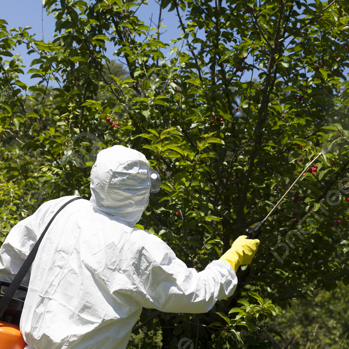 Pesticide
